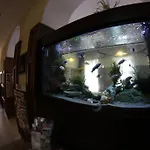 Hotel Omnibusz